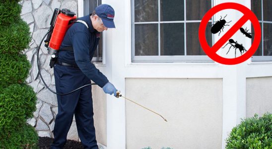 Söğütlü Uçan Haşere İlaçlama böcek ilaçlama ve haşere kontrolü — ilaclama-tr.com